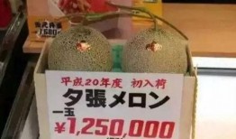 娱乐吃瓜群众群,揭秘“吃瓜群众”背后的故事