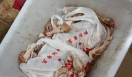 黑作坊炸鸡最新爆料图片,惊悚图片揭示食品安全隐患