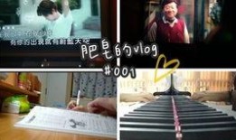 小桥山海琳琅生爆料视频,揭秘幕后故事