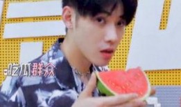 吃瓜娱乐圈任豪是谁,娱乐圈新晋“瓜王”的崛起之路