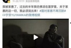最新爆料家暴男子是谁,涉嫌家暴男子身份揭晓，真相令人震惊