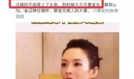 章子怡离婚爆料视频在线观看,揭秘明星婚姻背后的真相