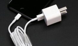 苹果不送充电器最新爆料,不送充电器，环保还是省成本？