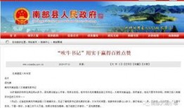 媒体新闻爆料网红有哪些,媒体爆料背后的真相与现象