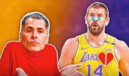 南阳小灰熊爆料事件最新,真相与争议交织的动物保护风波