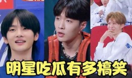 娱乐星免费吃瓜,免费吃瓜，尽享明星幕后故事