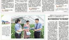 广东法治记者爆料新闻事件,真相与正义的追寻