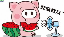 娱乐吃瓜酱小麒麟,小麒麟带你领略娱乐吃瓜界的风云变幻