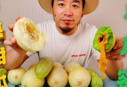 吃网红瓜大全,盘点娱乐圈那些鲜为人知的幕后故事