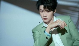 张小寒爆料王安宇视频,真相背后引人深思