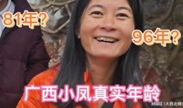 广西小凤被爆料视频播放,真相与争议交织