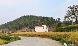 通江县最新爆料信息,揭秘神秘事件背后的真相