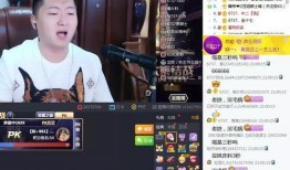 皮哥爆料视频大全下载免费,揭秘热门话题，免费下载精彩瞬间