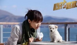 《花》在线观看,一场视觉与情感的盛宴